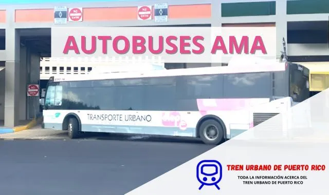 Autobuses_AMA_Puerto_Rico